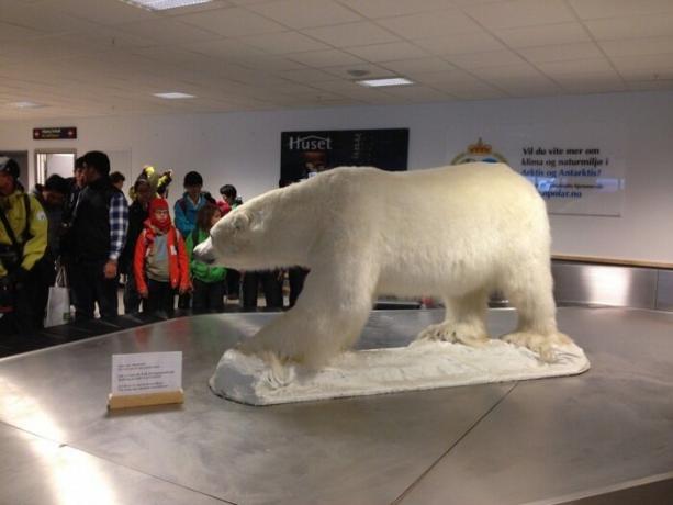 Lennujaama vastab kõigile reisil linna sümboliks - jääkaru.