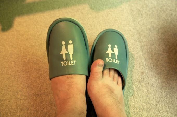 Jaapani on väga valvsad, et nii, et isegi WC nad on erilised kingad. / Foto: travellingjoel.files.wordpress.com