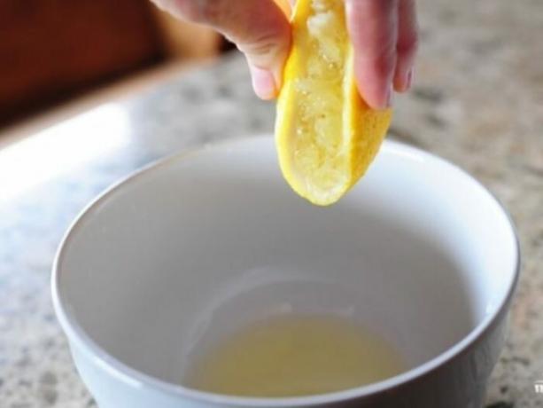 Lemon aitab vabaneda lõhn sügavkülma. Reklaam. 