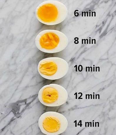 Keedetud munad eri vormides. | Foto: InstaHats.