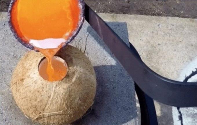 Coconut ja tulipunane vask: suurejooneline eksperiment.