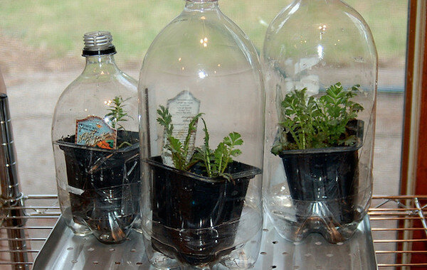 Vaata: http://www.agfoundation.org/images/uploads/_660w/greenhouse_bottles.jpg