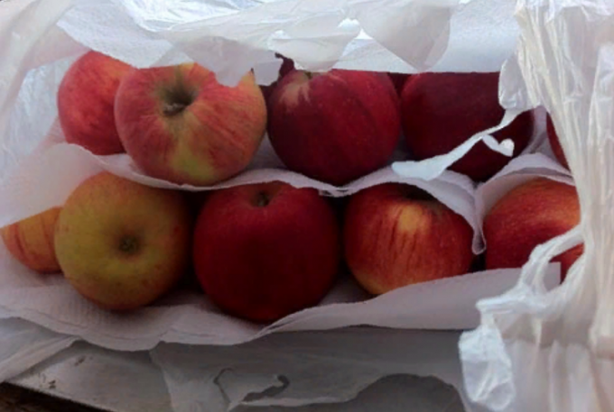 Kuidas hoida õunu värskena talvel kodus