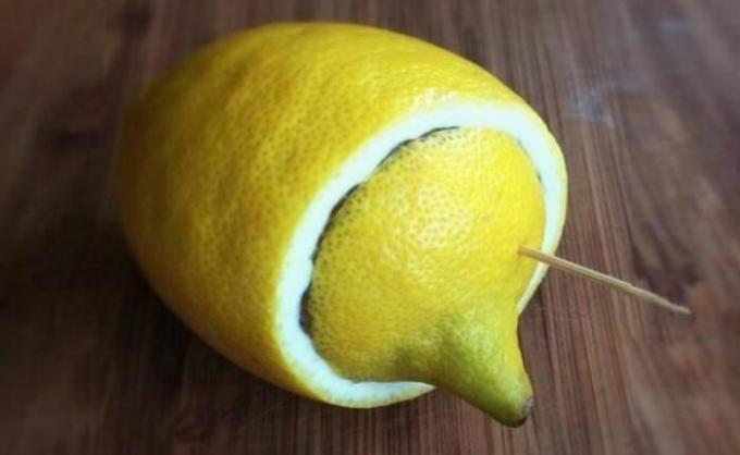 Lemon - täiuslik kaaslane, kui lähete telkimine või rekreatsiooni. / Foto: belnovosti.by. 