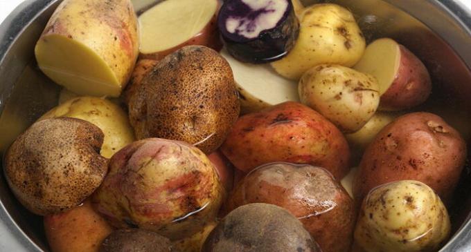 Proovi ajal tampimiseks kombineerida erinevaid kartulisordid.