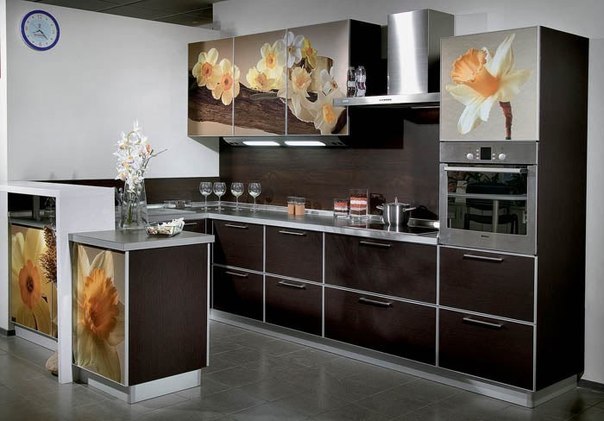 Fassaadil mustriga köögid (47 fotot): isetehtud videojuhised paigaldamiseks, maalimisnäited, hind, foto