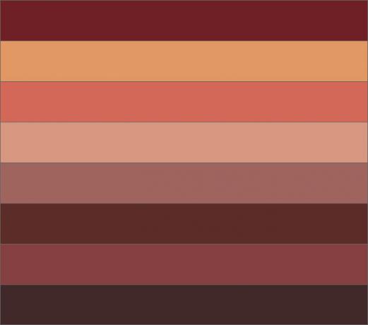 Burgundia ja külgnevate värvide palett