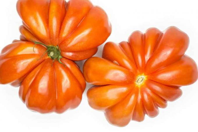 Saladusi kasvab tomatid "veise süda"