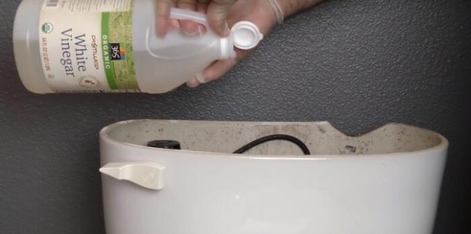 Täitke äädikat WC tappa kõik bakterid. 