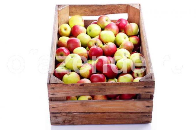 Hoides õunad. Illustratsioon artikkel kasutatakse standardset litsentsi © ofazende.ru