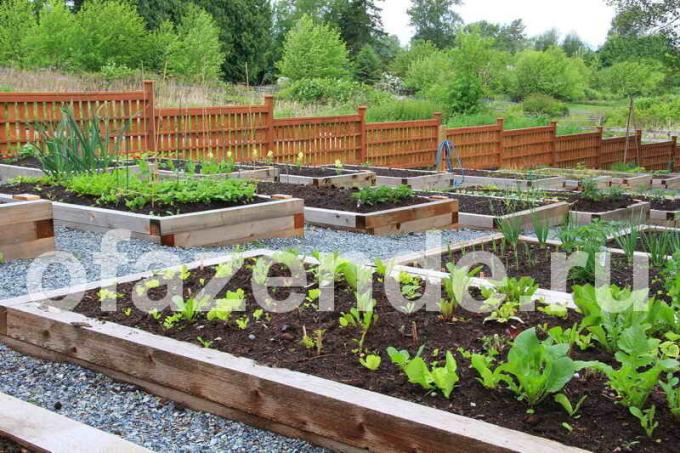 Container aed oma kätega: Tips aednikud
