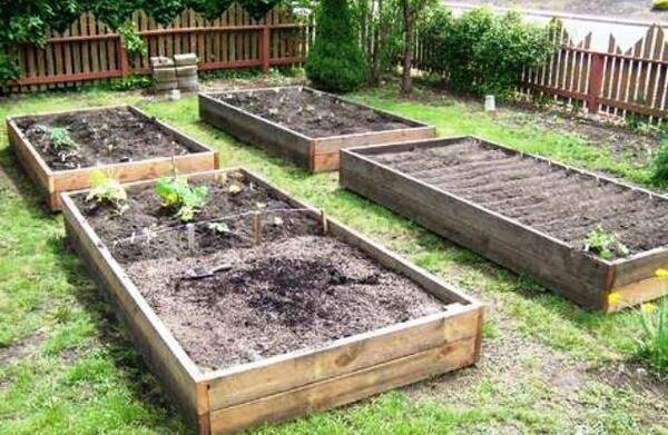 Kuidas parandada savimullad aias ilma suurte finantsinvesteeringud. Minu kogemus